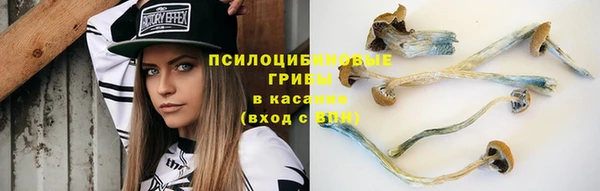 молекула духа Бугульма