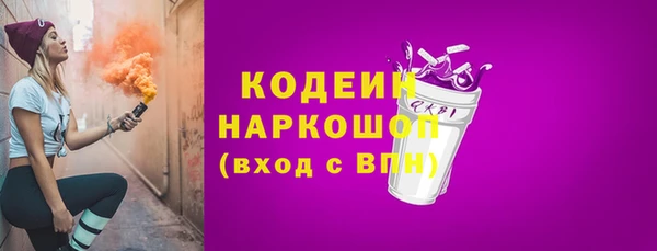 молекула духа Богданович
