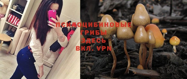 эйфоретик Бронницы